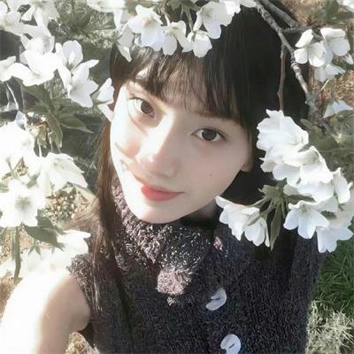 梨花劫
